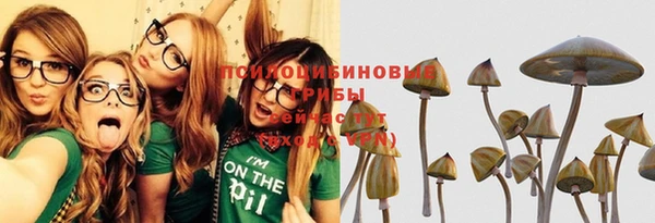mdma Ельня