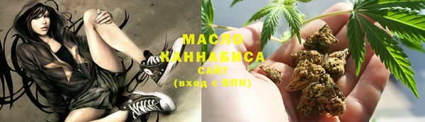 дмт Елизово