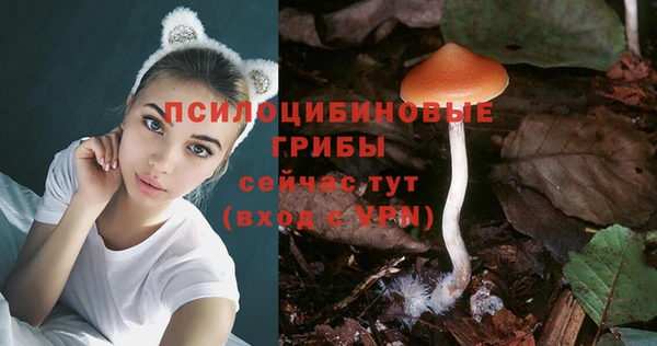 дмт Елизово