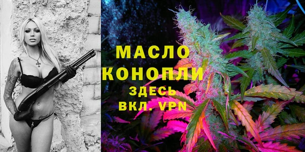 дмт Елизово