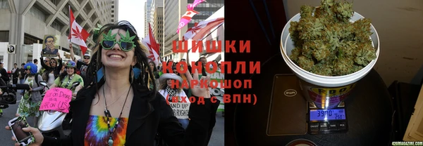 дмт Елизово