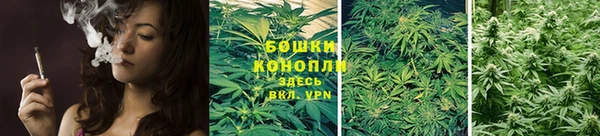 дмт Елизово